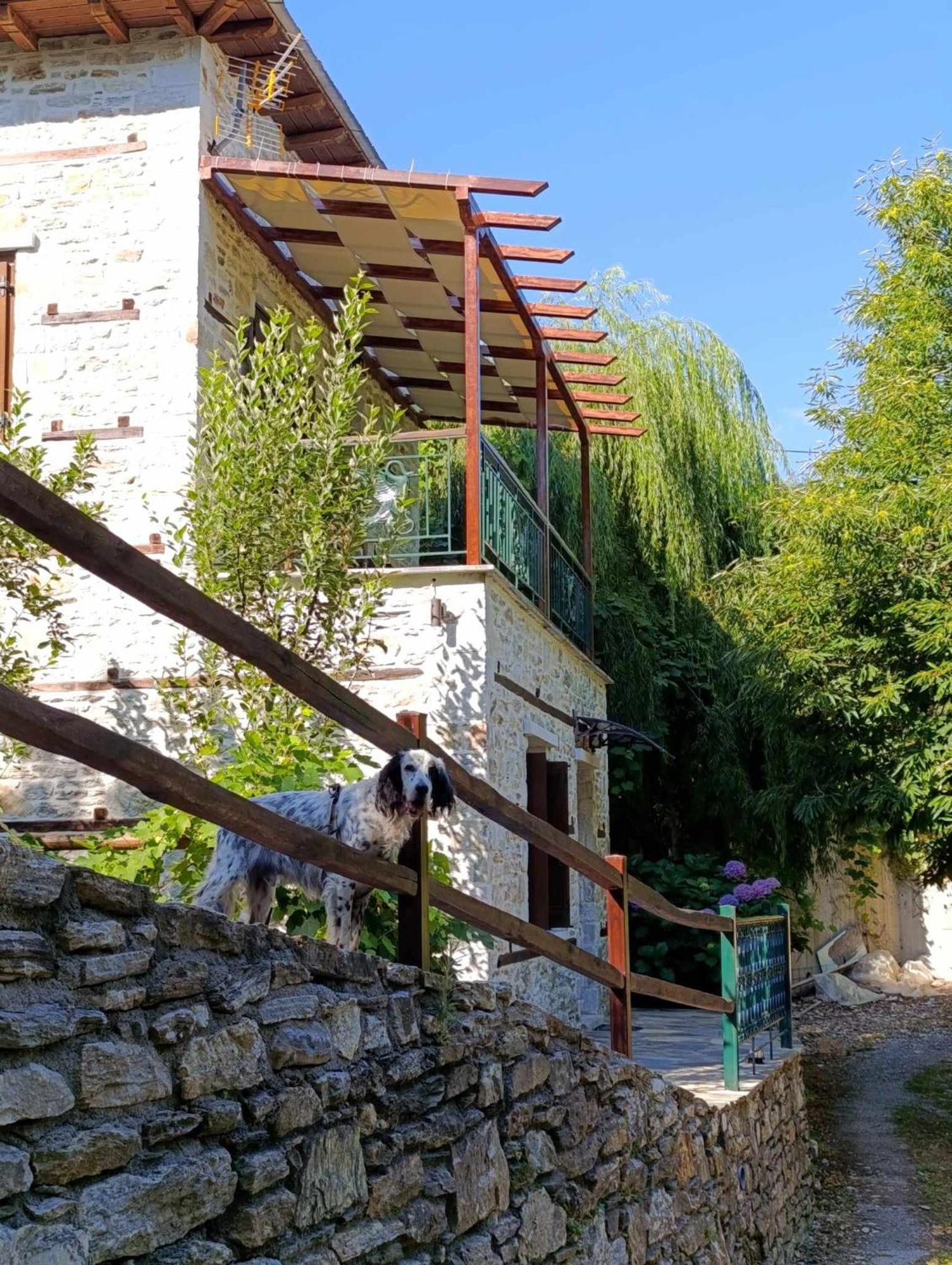 Μountain Whispers Apartment Mouresi Exterior photo